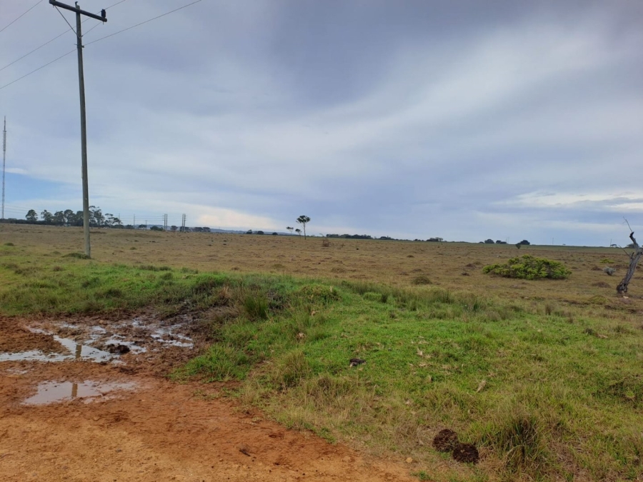  Bedroom Property for Sale in Greenbushes Eastern Cape